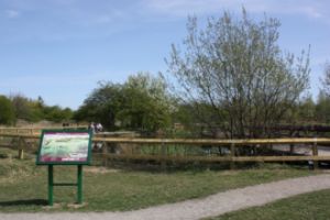 Aycliffe Nature Park